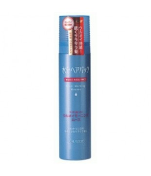 SHISEIDO 资生堂 水之密语清爽型摩丝 140g