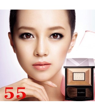SHISEIDO 资生堂 变幻之美光影交错美颜腮红 8g 55号色