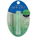 SHISEIDO 资生堂 超保湿清凉薄荷润唇膏 ...