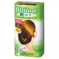 花王 Blaune艳丽色系白发专用染发膏2号 较...