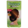 花王 Blaune艳丽色系白发专用染发膏5号 棕...