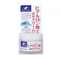 JUJU AQUAMOIST玻尿酸高保湿面霜 5...