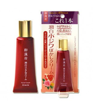 Kracie 嘉娜宝 和汉花 润白除皱美容霜 眼角嘴角用 25g