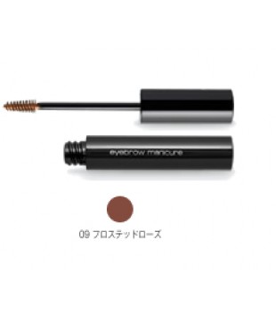 Shu uemura 植村秀 浓密立体感多彩靓色染眉膏 09号色