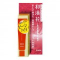 Kracie 嘉娜宝 和汉花 眼唇专用美容液 1...