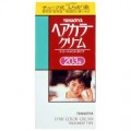 YANAGIYA 柳屋本店 白发用染发膏 自然濃褐色203G 40g+40g