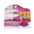 COSMETEX ROLAND 媚力保湿护唇蜜 12g